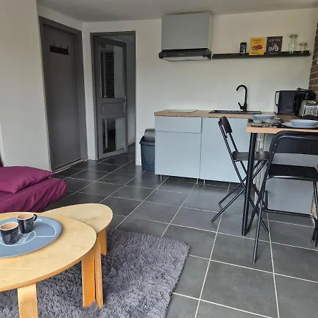 Le Loft Des Cigognes Apartmán Barr